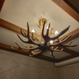 Отель Astra de Rosa, фото гостя