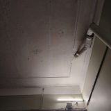 Хостел Друзья Лайт, фото гостя