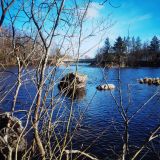 Гостевой дом Беличье, фото гостя