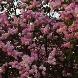 Тула, фото отдыхающего в мае