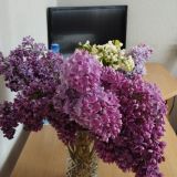 Гостиница КёнигАвто, фото гостя