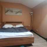 Меблированные комнаты Антей, фото гостя