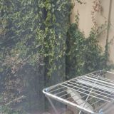 Гостевой дом Галотель, фото гостя