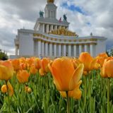 Москва, фото отдыхающего в мае