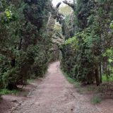 Кисловодск, фото отдыхающего в мае