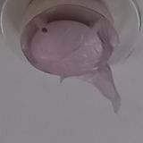 Гостевой дом Элегия, фото гостя