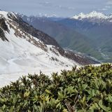Эсто-Садок, фото отдыхающего в апреле