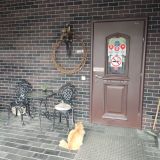 Гостевой дом Николин Парк, фото гостя