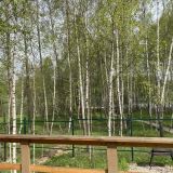 Глэмпинг Ильино, фото гостя