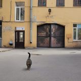 Мини-отель New Day, фото гостя