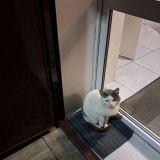 Jazz HostelPskov, фото гостя