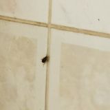 Like Hostel Рязань, фото гостя