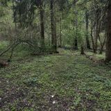 Глэмпинг Модная коза, фото гостя