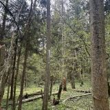 Глэмпинг Модная коза, фото гостя