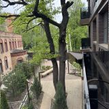 Бутик-Отель Lesnoy Country House, фото гостя