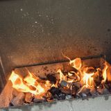 Экопарк Поляны, фото гостя