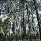 Экопарк Поляны, фото гостя