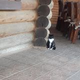 Эко-отель Велес, фото гостя