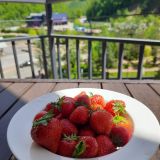 Апарт-отель РентаСфера на Каменке, фото гостя