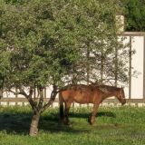 Гостевой дом Теремок 1, фото гостя