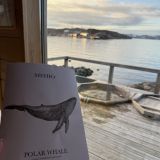 Отель Cedar Grass, фото гостя