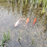 Отель Мрия, фото гостя