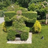 Отель Мрия, фото гостя