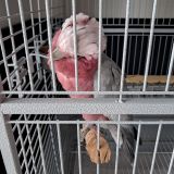 Отель VOYAGE, фото гостя