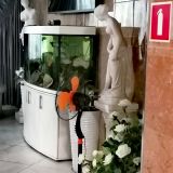 Гостиница Ярославская, фото гостя