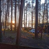 База отдыха Зелёный мыс, фото гостя