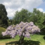 Отель Крым-Дрим, фото гостя