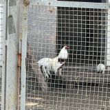 Гостиничный комплекс Яр, фото гостя