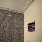 Меблированные комнаты Большой 45, фото гостя