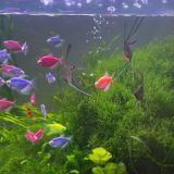 Хостел O'Key Home, фото гостя