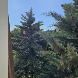 Гостевой дом Каштановый особняк, фото гостя