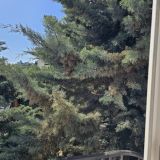 Гостевой дом Каштановый особняк, фото гостя