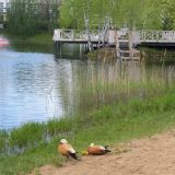 Загородный отель Тропикана Парк, фото гостя