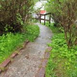 Загородный отель Тропикана Парк, фото гостя