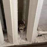 Апартаменты На Казанской, фото гостя