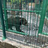 Эсто-Садок, фото отдыхающего в мае
