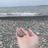 Сочи, фото отдыхающего в мае