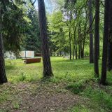 Загородный отель Тихий лес, фото гостя