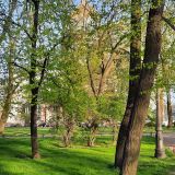 Финский залив, фото отдыхающего в мае