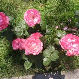Большой Сочи, фото отдыхающего в мае
