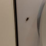 Апартаменты Star Comfort на Садовой, фото гостя