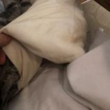 Хостел Автор Таганка, фото гостя