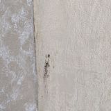 Гостевой дом Мимоза, фото гостя