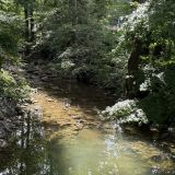 Парк-Отель Орлиное гнездо, фото гостя