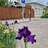 Таганрог, фото отдыхающего в мае