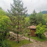 Гостевой дом Рябиновые бусы, фото гостя